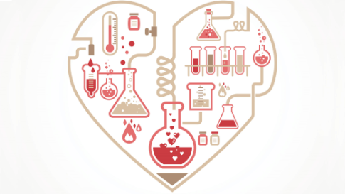 Мастер-класс «Химия — наука о любви»